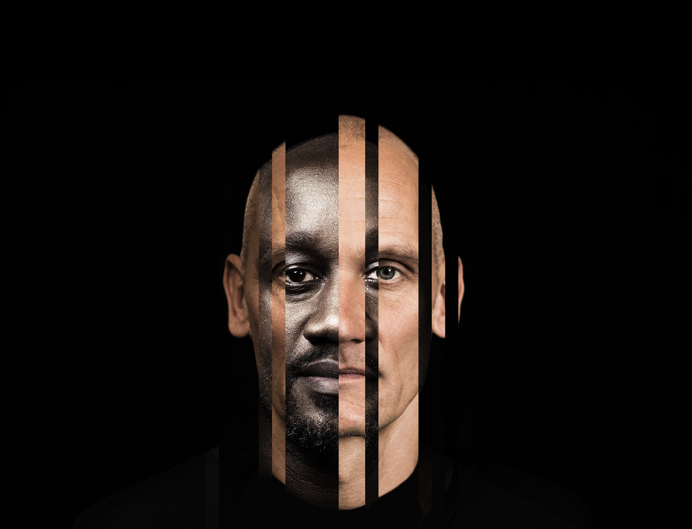 WordPress Agentur Münster