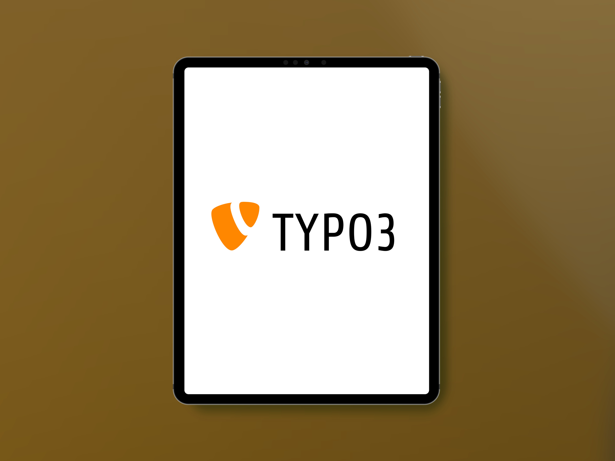 TYPO3 Agentur Entwlcklung & Programmierung